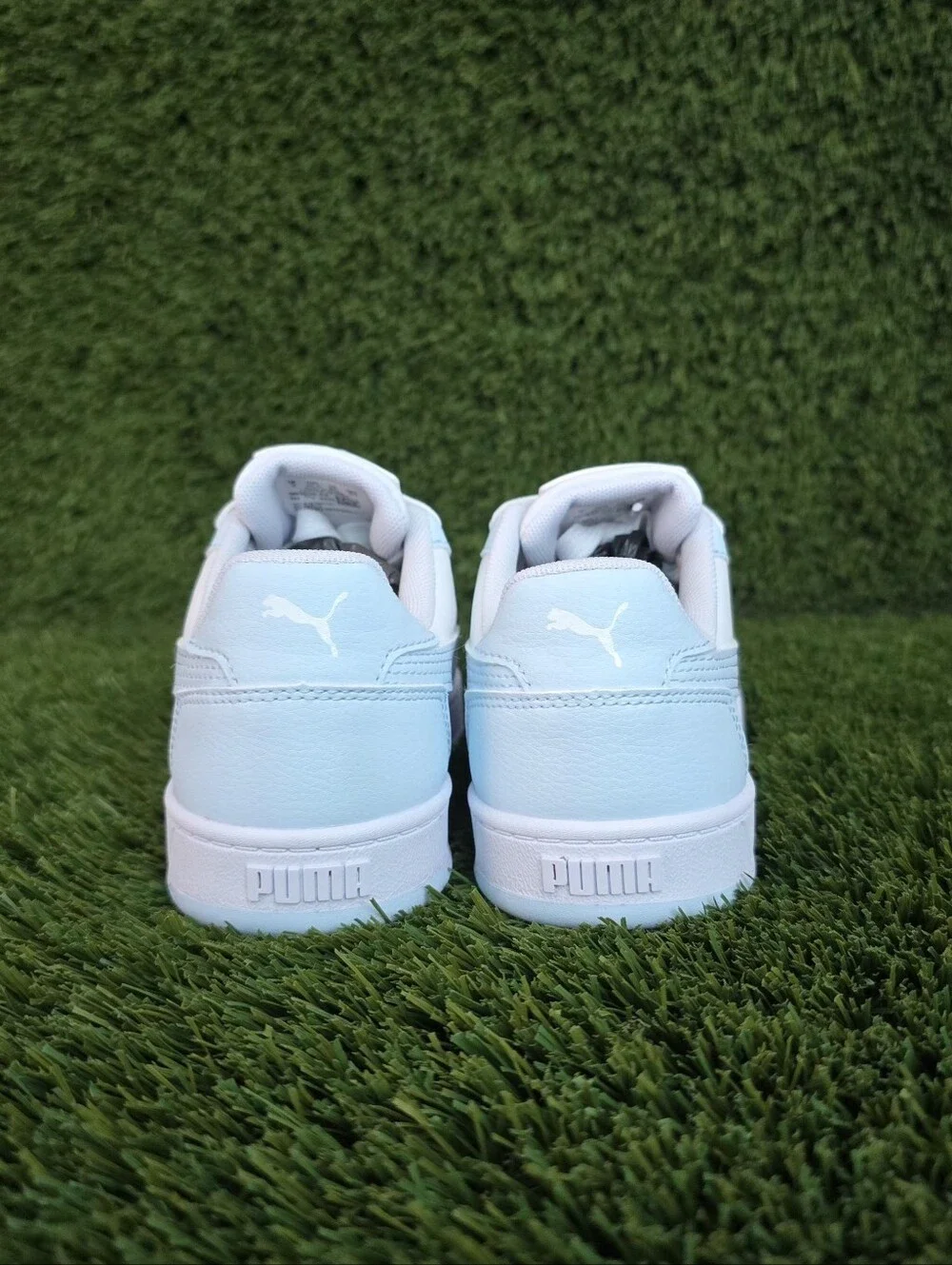 Puma caven low